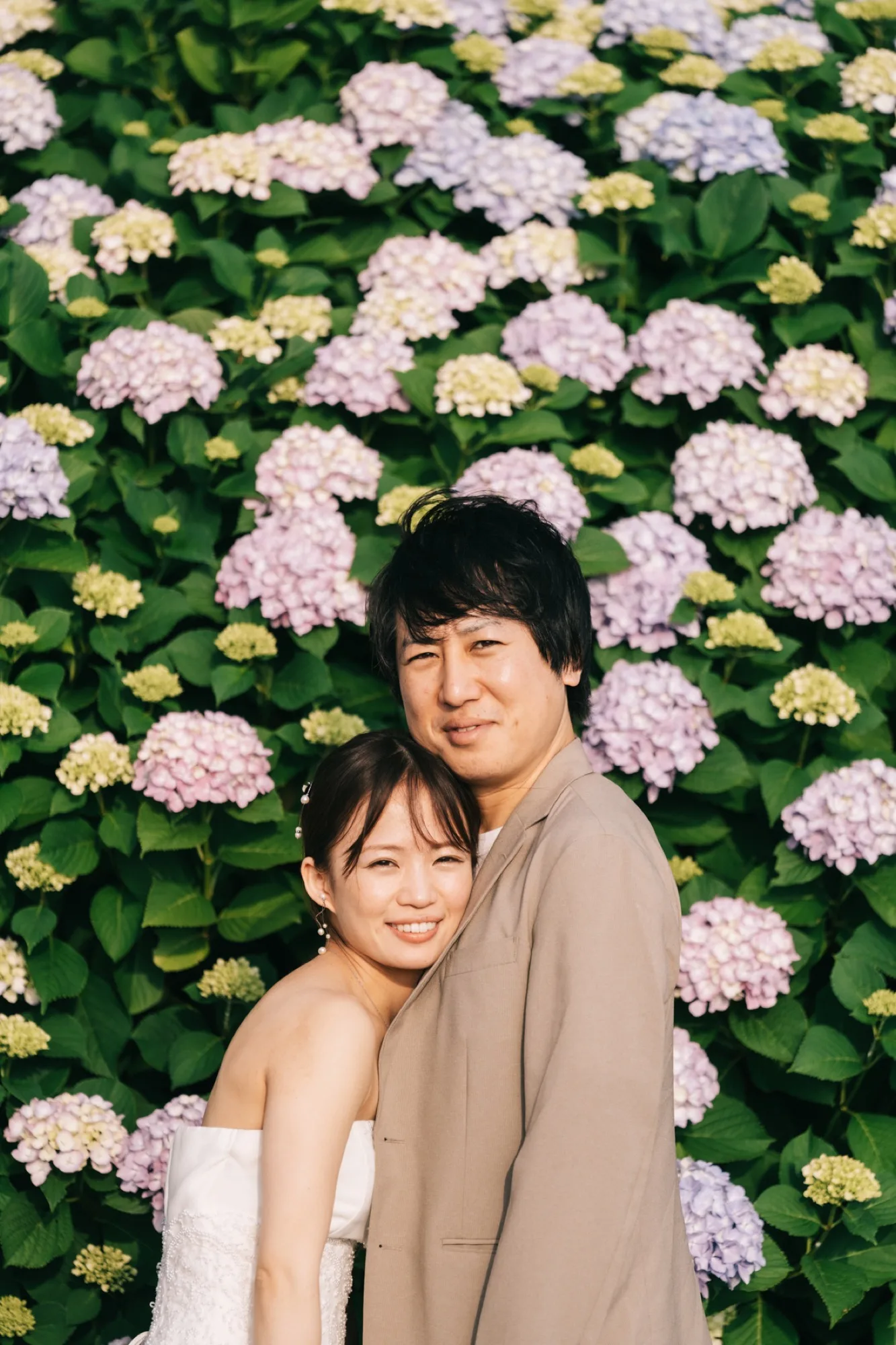 紫陽花の咲く小径
